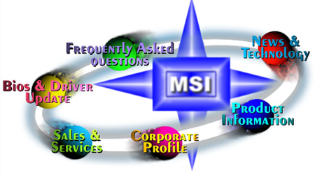 MSI Services